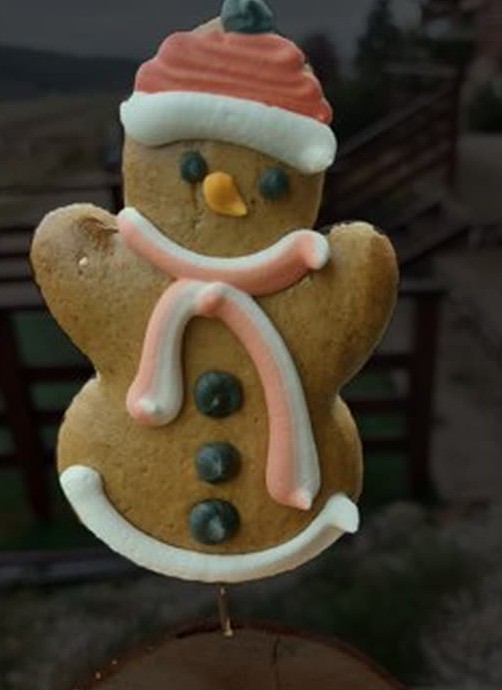 One of the 85 input phone photos: the cookie on a wooden stump, outdoors, background visible
