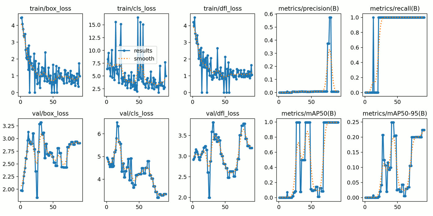 Training and validation curves